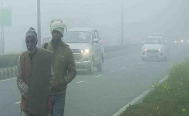 Dense fog warning to 5 district for next 24 hour