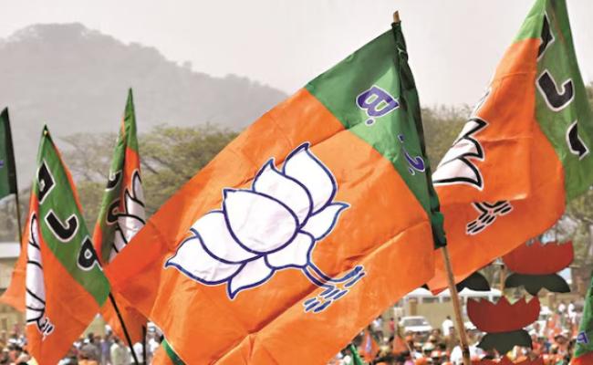 BJP's organization will be reorganised by January