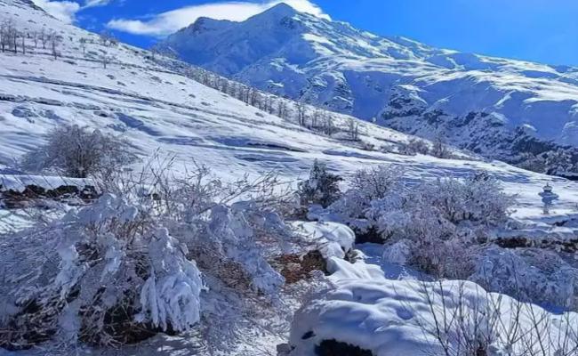 Heavy snowfall warning issued for Himachal Pradesh for next two days