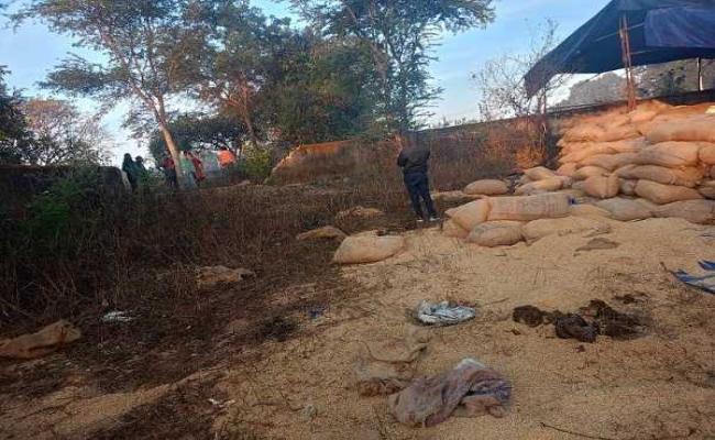 Elephants destroyed 78 bags of paddy bags from procure centre in Badasaimara