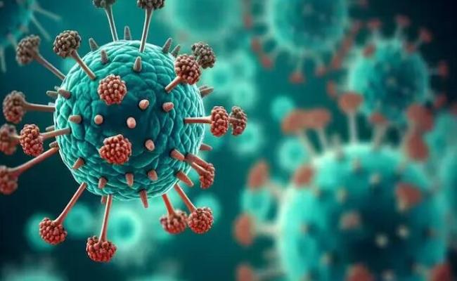 First case of HMPV virus found from Gujarat, symptoms in two-month-old baby