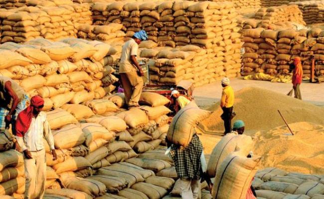 Government to pay farmers for selling their crops within 48 hours