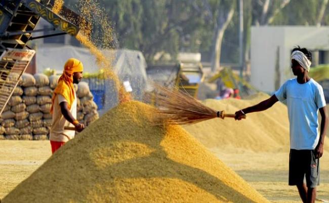 Under the watchful eye of the government, enforcement teams are deployed in every district to transport grain from other states.