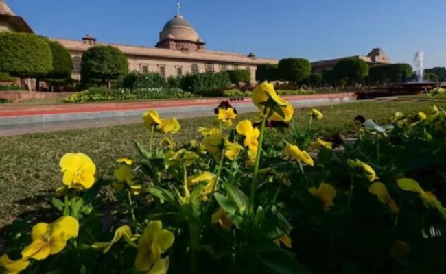 Rashtrapati Bhavan's Amrit Garden to open for public from February 2