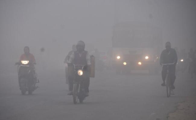 Dense fog likely in some parts of the state for the next 2 days: Warning issued for 12 districts for the next 24 hours