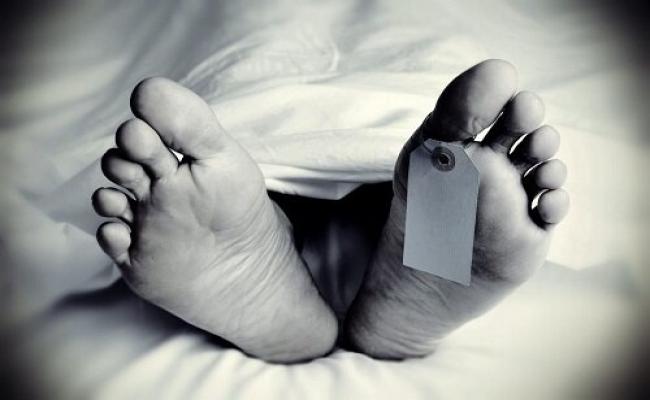 Tree falls on house due to rain in Delhi, 4 members of a family die