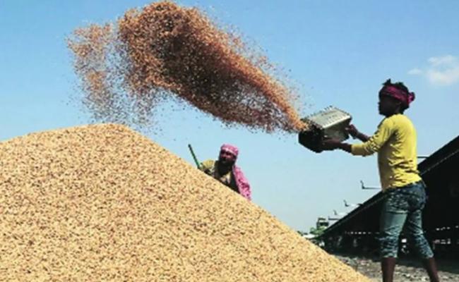 MSP of paddy should be Rs. 3000: Samajwadi Party