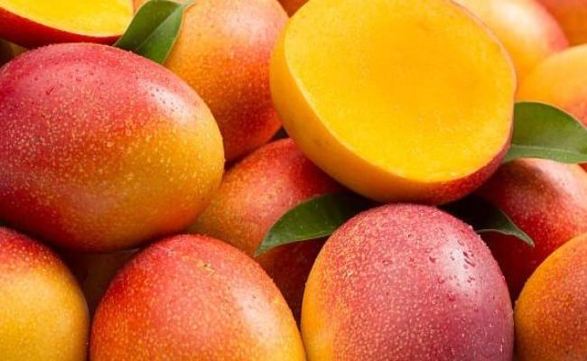 Mangoes from Patnagarh to Abu Dhabi and London
