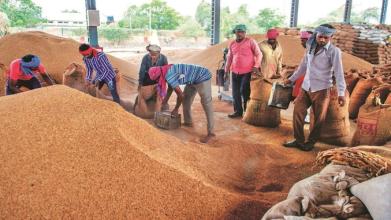 The meeting of the Paddy Procurement Committee for the 2025-26 Kharif Marketing Season was held under the chairmanship of the Chief Secretary.