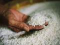 Odisha's fragrant rice to go to Dubai