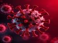 2 patients of Human Metapneumonia Virus identified in the country