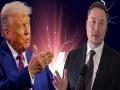 Trump would have lost the election without me - Musk