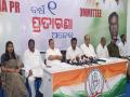 One year of BJP rule in Odisha is a year of misrule,deception and arrogance : Congress