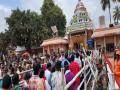 Evening darshan of Shraddhalu, tomorrow's Bahuda Yatra