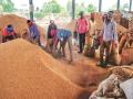The meeting of the Paddy Procurement Committee for the 2025-26 Kharif Marketing Season was held under the chairmanship of the Chief Secretary.